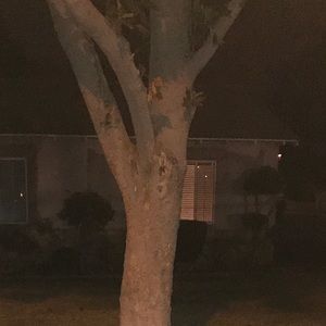 Meet your Posher, Danny